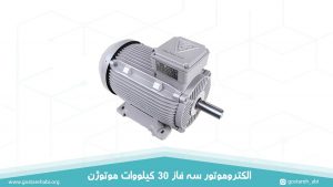 الکتروموتور سه فاز چدنی 30 کیلووات موتوژن