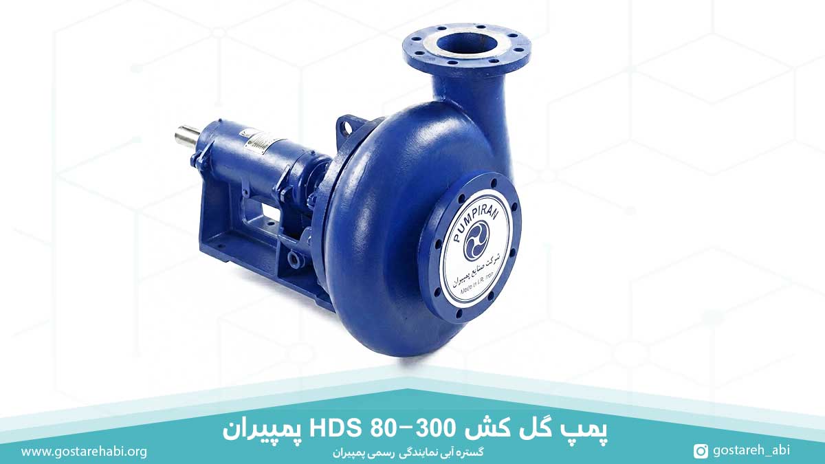 80-300-slurry-pump-hds-of-pumpiran پمپ گل کش 300-150 پمپیران